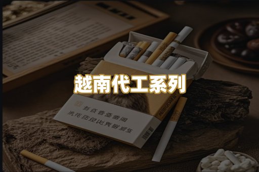 越南代工系列